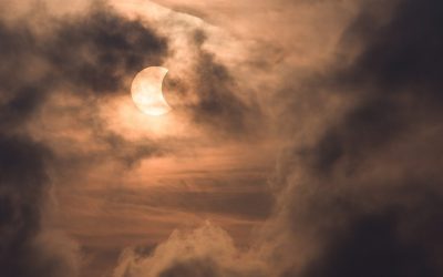 Vollmond am 19. November 2021