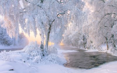 Zeitqualität 3. Advent