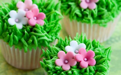 Tagesimpuls: Sonne im Stier