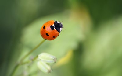 Kennst du deinen Glückspunkt?