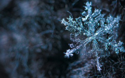 Rauhnächte 2023-2024