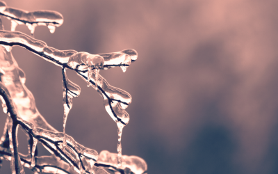 Veränderung & Transformation