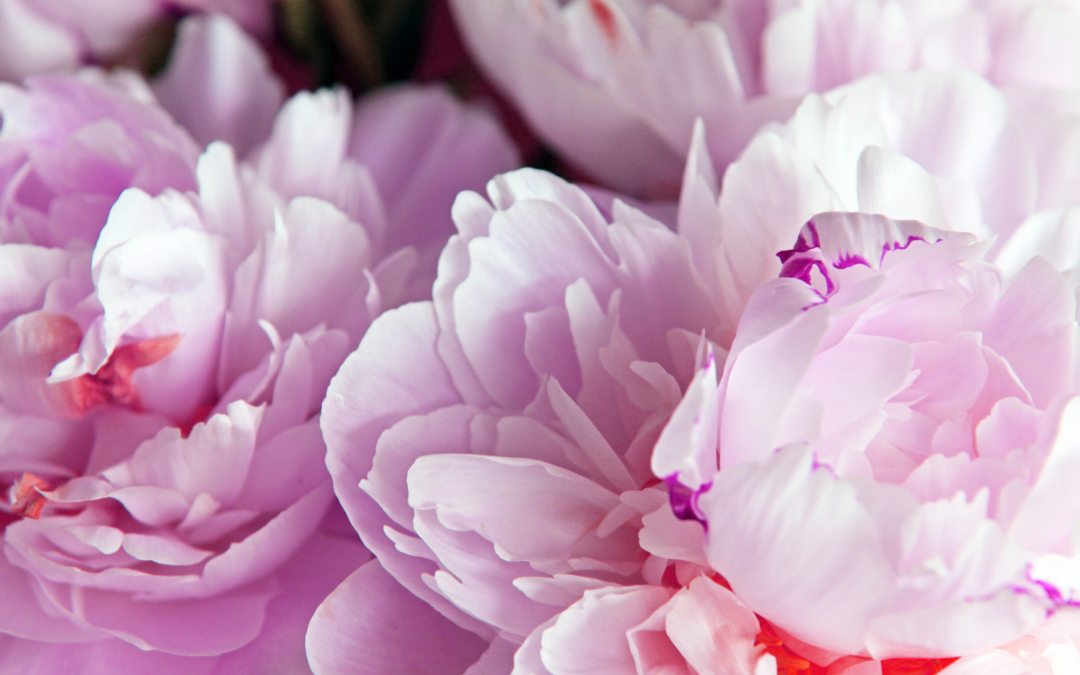 Die Bedeutung des Geistes