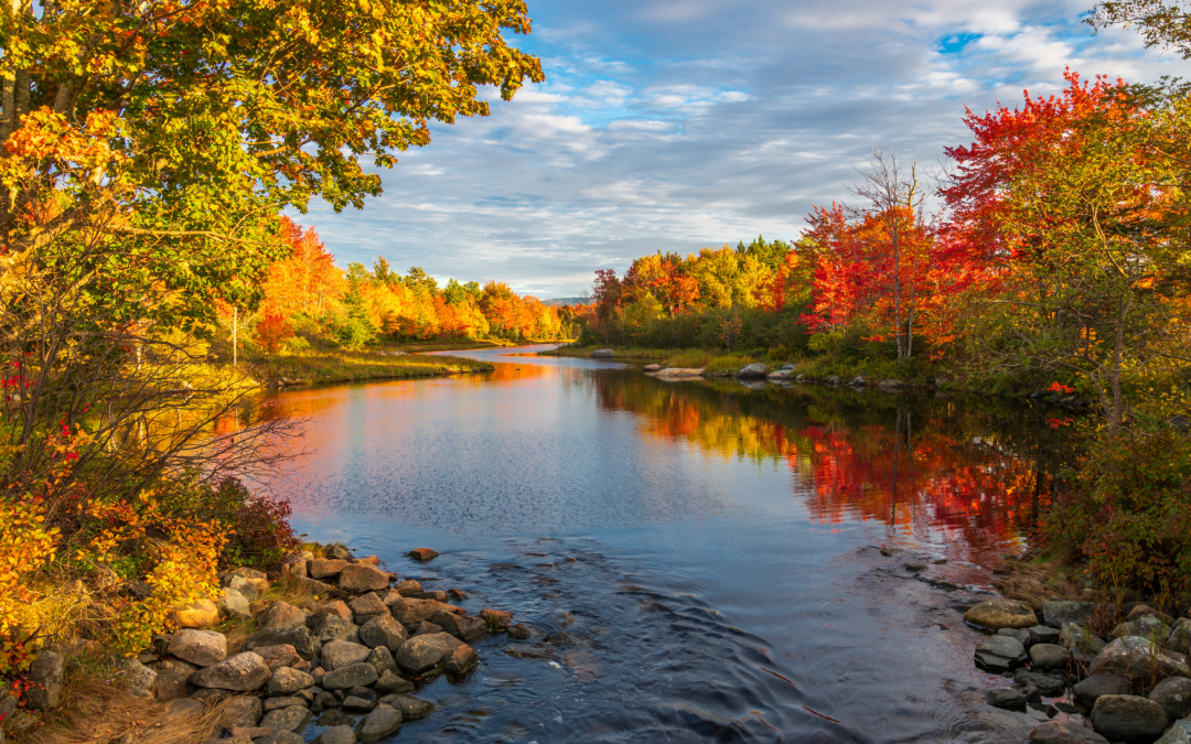 Im Gleichgewicht des Kosmos