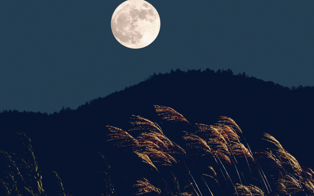 Der Mond im Horoskop