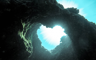 Sonne in den Fischen