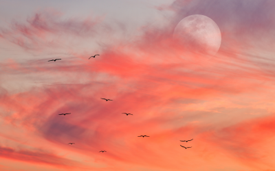 Vollmond am 14. März 2025