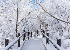 Raunächte 2025-2026