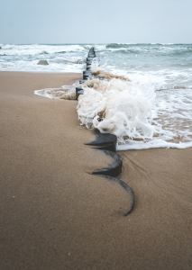 Ilona Krämer | Mentoring