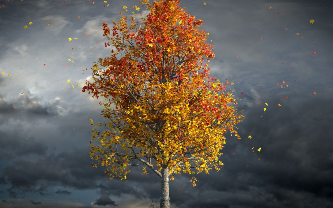 Die Zeit Ende Oktober
