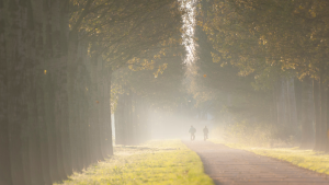 Ilona Krämer | Mentoring