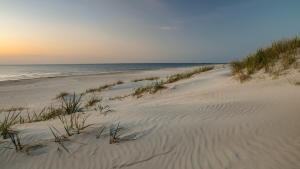 Ilona Krämer | Mentoring