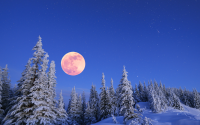 Vollmond am 5. Dezember 2025