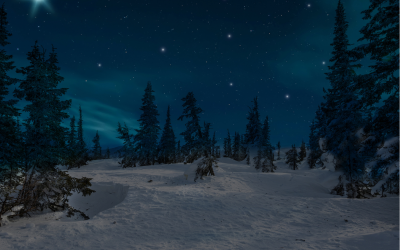 Neumond am 20. Dezember 2025