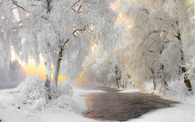 Kardinales Kreuz fordert Entscheidungen