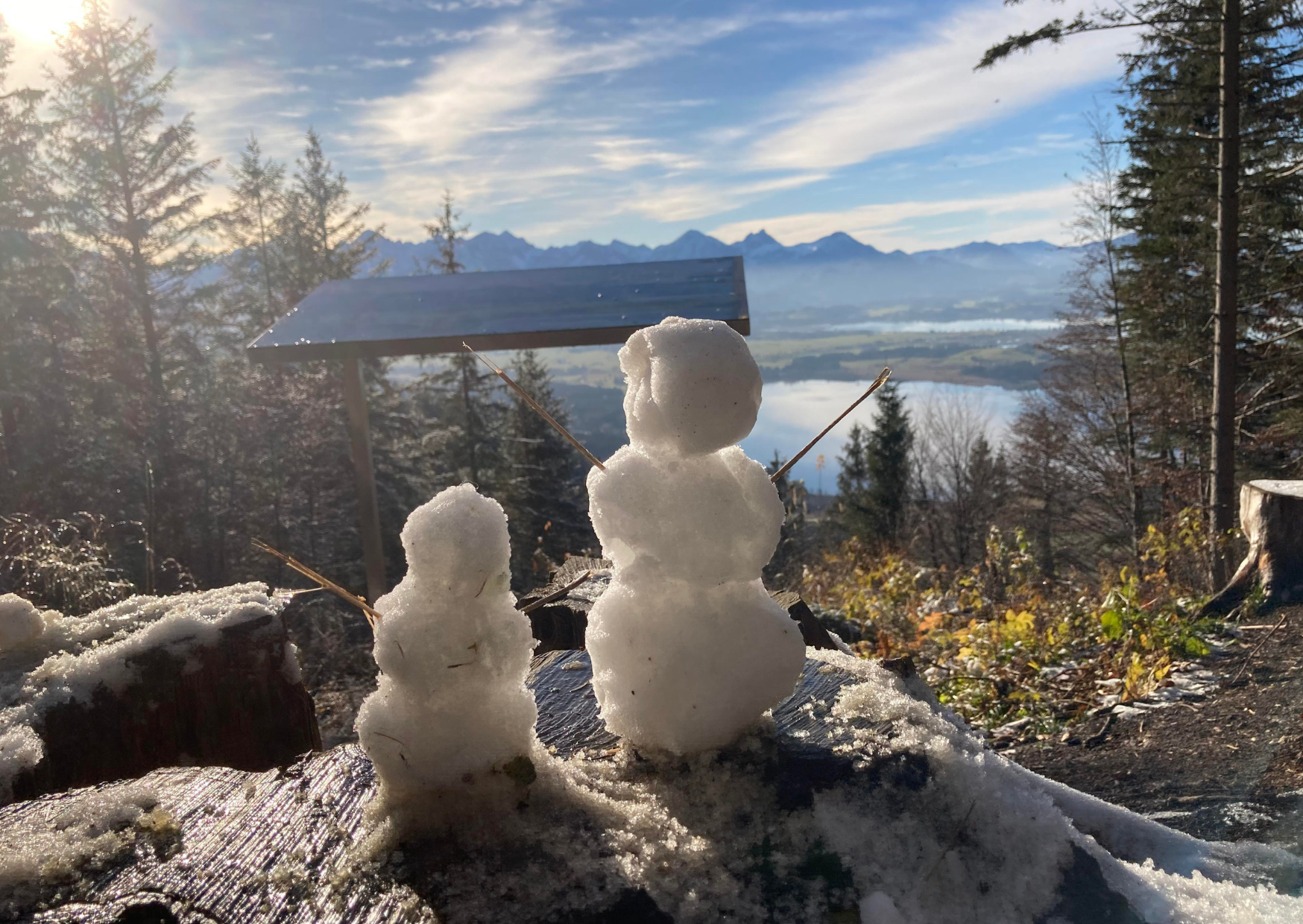 Venus im Wassermann Venus im Wassermann