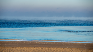 Saturn und Neptun im Widder