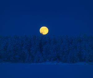 Vollmond im Löwen