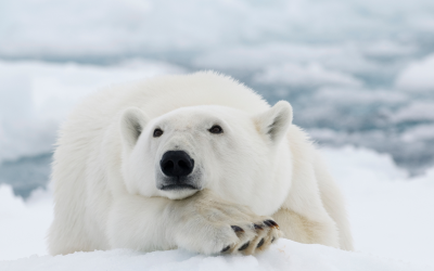 Sonne und Merkur im Wassermann