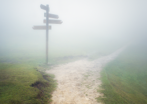 Schilder im Nebel