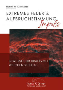 Impulsanalyse Widderpower