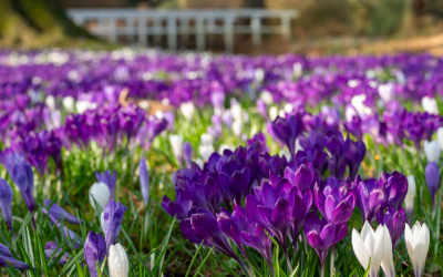 Zeitqualität für Selbstreflektion