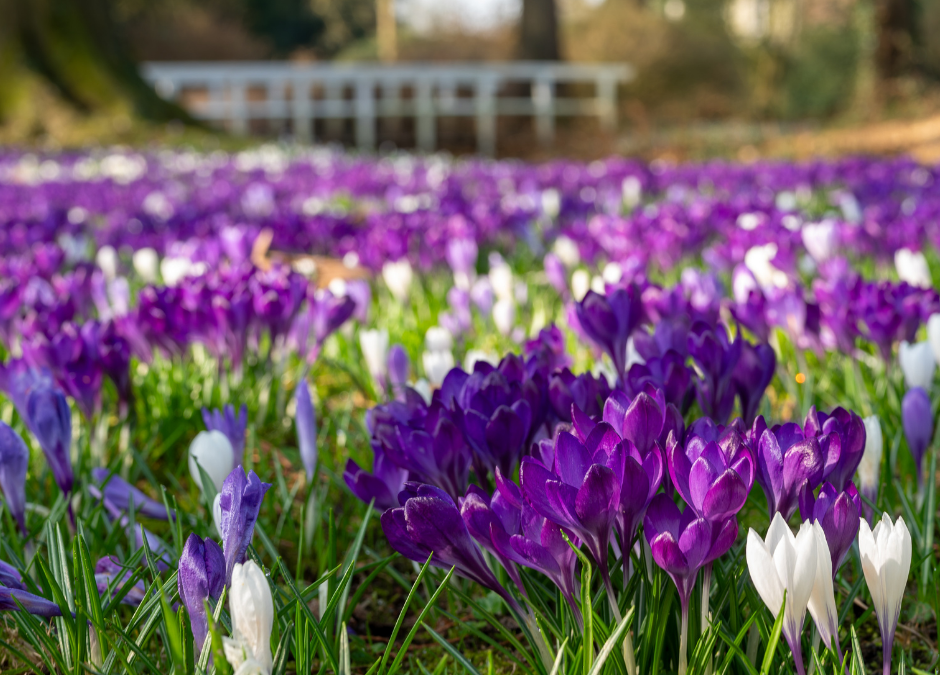 Zeitqualität für Selbstreflektion