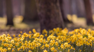 Ostern